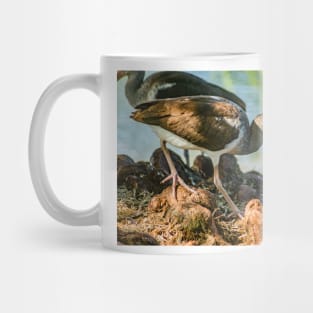 American white ibis Gatorland 2 Mug